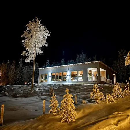 Arctic Lumo *