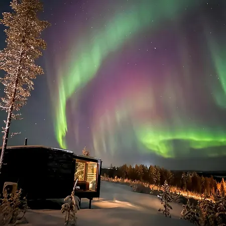 Arctic Lumo *